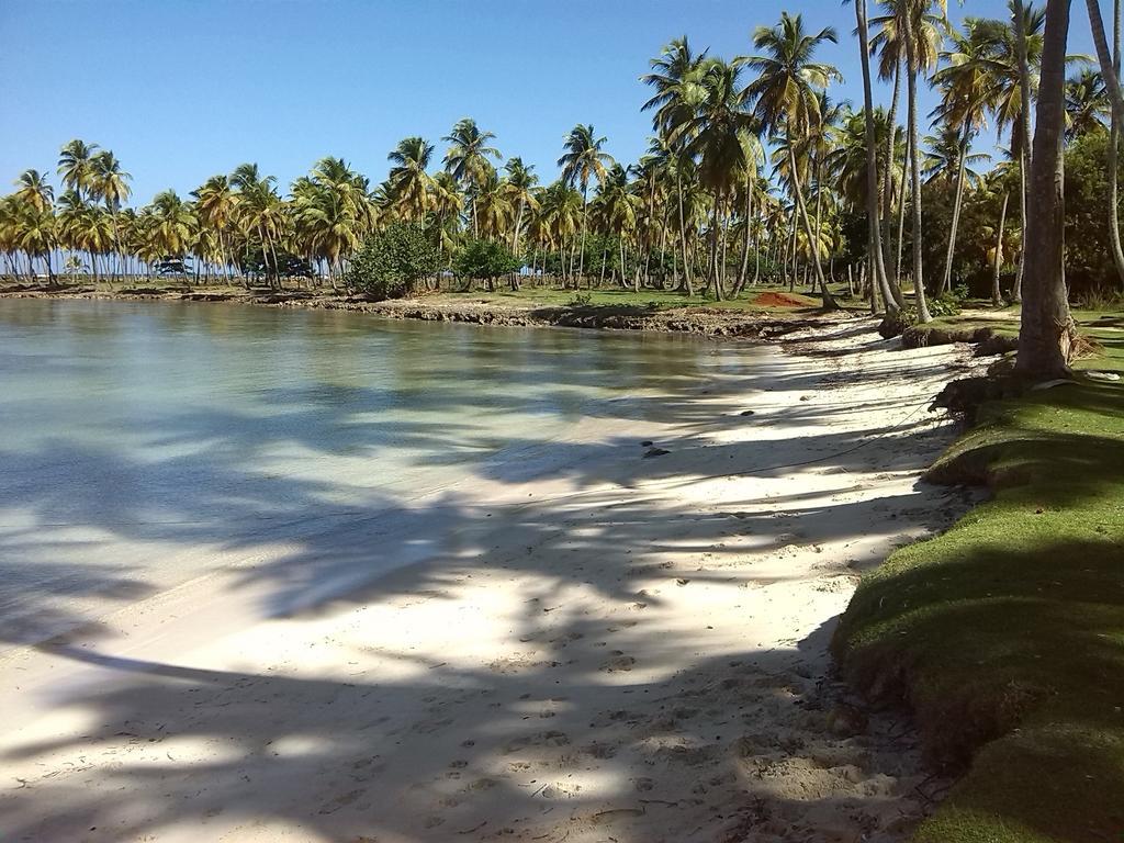 21 Palms Hotel Las Galeras Buitenkant foto
